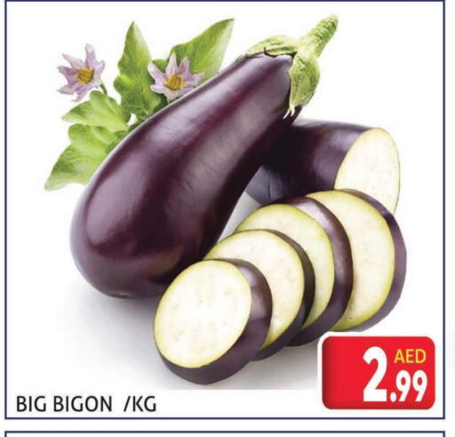 الخضروات الطازجة in مركز النخيل هايبرماركت, UAE Offers - الإمارات العربية المتحدة available at مركز النخيل هايبرماركت in الإمارات العربية المتحدة , الامارات - الشارقة / عجمان
