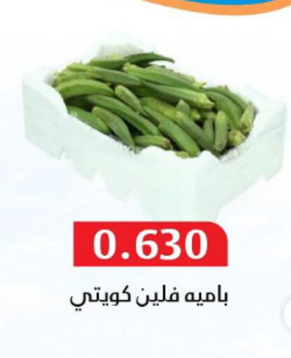 Fresh Vegetables in Al Masayel co-op , Kuwait Offers - Kuwait Lady's finger available at Al Masayel co-op in Kuwait - Ahmadi Governorate