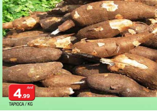 Fresh Vegetables in AL MADINA, UAE Offers - United Arab Emirates available at AL MADINA in UAE - Sharjah / Ajman