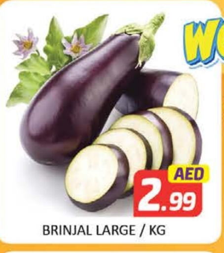 Fresh Vegetables in Mango Hypermarket LLC, UAE Offers - United Arab Emirates Mango available at Mango Hypermarket LLC in UAE - Dubai