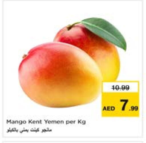 مانجو from Yemen available at لاست تشانس in الإمارات العربية المتحدة , الامارات - ٱلْفُجَيْرَة‎