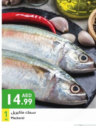 الأسماك الطازجة in إسطنبول سوبرماركت, UAE Offers - الإمارات العربية المتحدة available at إسطنبول سوبرماركت in الإمارات العربية المتحدة , الامارات - الشارقة / عجمان