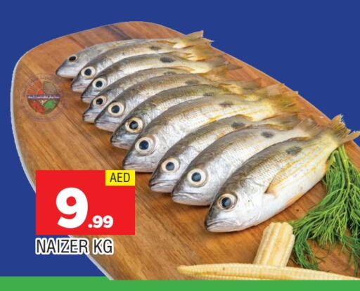 الأسماك الطازجة in المدينة, UAE Offers - الإمارات العربية المتحدة available at المدينة in الإمارات العربية المتحدة , الامارات - الشارقة / عجمان