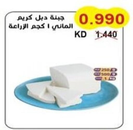 Cheese & Cream in Salwa Co-Operative Society , Kuwait Offers - Kuwait available at Salwa Co-Operative Society in Kuwait - Ahmadi Governorate