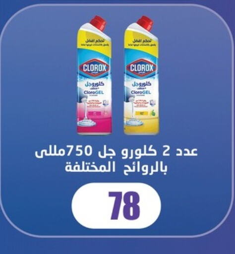 Cleaning in Fathalla Market , Egypt Offers - Egypt CLOROX General Cleaner available at Fathalla Market in Egypt - Cairo
