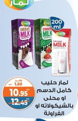 حليب بنكهات available at كازيون in Egypt - القاهرة
