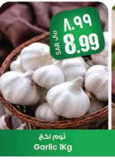 Fresh Vegetables in City Flower, Saudi Arabia Offers - Saudi Arabia Garlic available at City Flower in KSA, Saudi Arabia, Saudi - Jubail