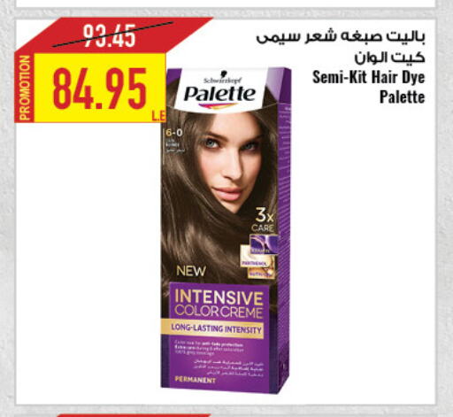 PALETTE available at Oscar Grand Stores  in Egypt - Cairo