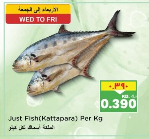 Fresh Fish in Nesto Hypermarkets, Kuwait Offers - Kuwait available at Nesto Hypermarkets in Kuwait - Ahmadi Governorate