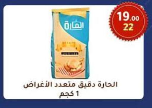 Flour & Baking Supplies in Wekalet Elmansoura - Dakahlia , Egypt Offers - Egypt available at Wekalet Elmansoura - Dakahlia in Egypt - Cairo