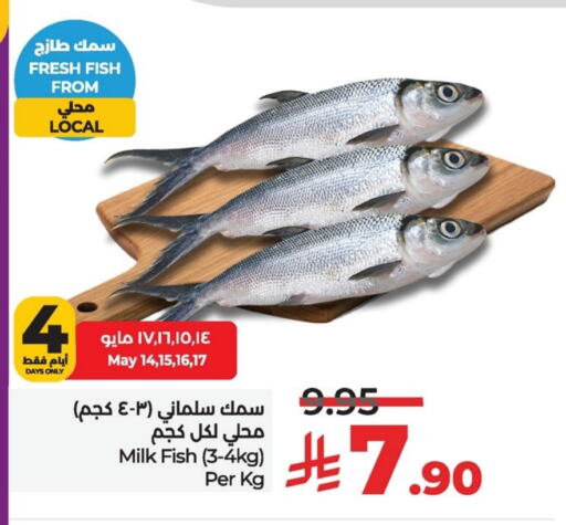 Fresh Fish in LULU Hypermarket, Saudi Arabia Offers - Saudi Arabia available at LULU Hypermarket in KSA, Saudi Arabia, Saudi - Al Khobar