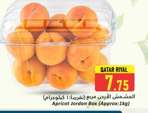 Apricot from Qatar Jordan available at دانة هايبرماركت in قطر - الريان