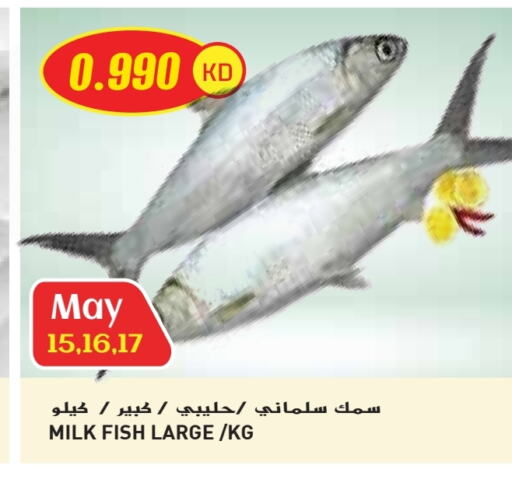 available at جراند كوستو in الكويت - محافظة الأحمدي