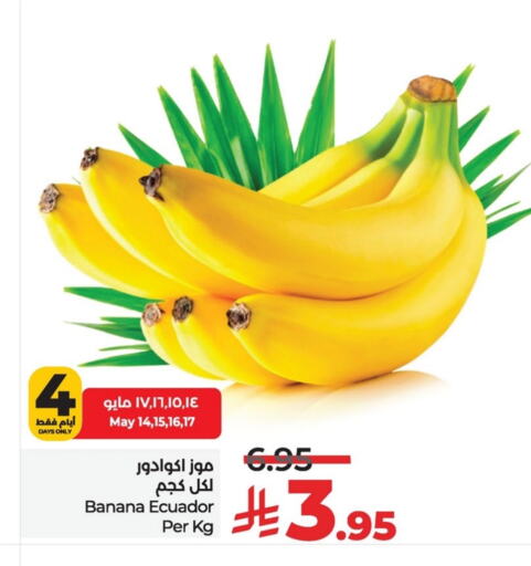 فاكهة طازجة in لولو هايبرماركت, المملكة العربية السعودية Offers - المملكة العربية السعودية موز from Ecuador available at لولو هايبرماركت in مملكة العربية السعودية, السعودية, سعودية - الخبر