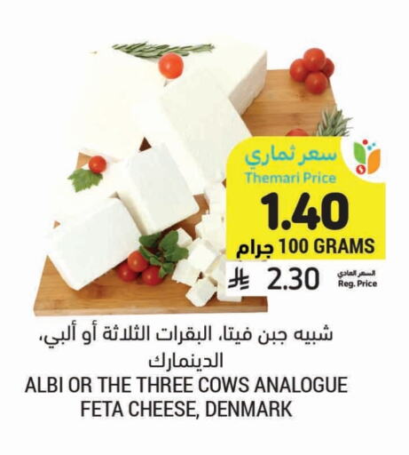جبنة و كريم in أسواق التميمي, المملكة العربية السعودية Offers - المملكة العربية السعودية فيتا available at أسواق التميمي in مملكة العربية السعودية, السعودية, سعودية - المدينة المنورة