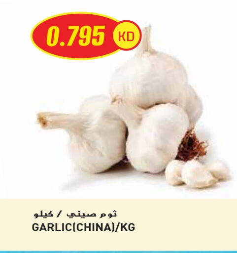 الخضروات الطازجة in جراند هايبر, الكويت Offers - الكويت ثوم from China available at جراند هايبر in الكويت - محافظة الأحمدي