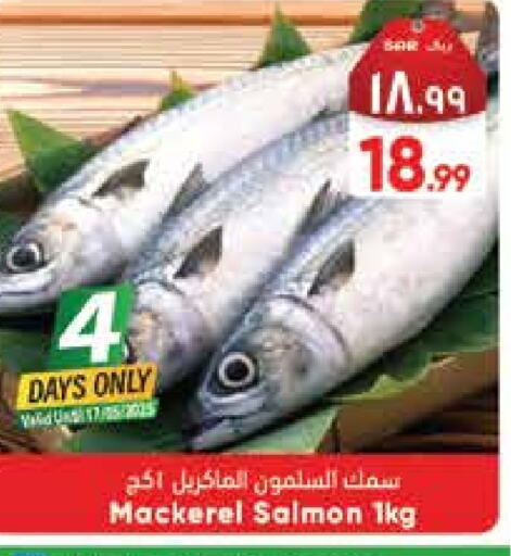 available at City Flower in KSA, Saudi Arabia, Saudi - Hail