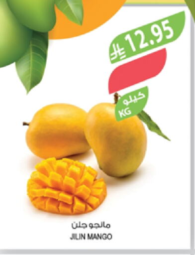 Fresh Fruits in Farm , Saudi Arabia Offers - Saudi Arabia Mangoes available at Farm in KSA, Saudi Arabia, Saudi - Qatif
