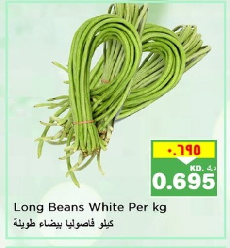 Beans available at Nesto Hypermarkets in Kuwait - Ahmadi Governorate