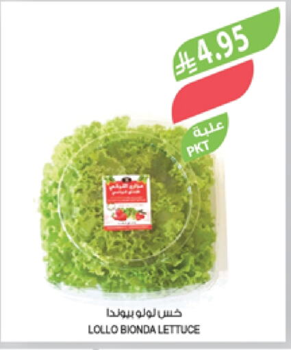 الخضروات الطازجة in المزرعة, المملكة العربية السعودية Offers - المملكة العربية السعودية Lettuce available at المزرعة in مملكة العربية السعودية, السعودية, سعودية - سكاكا