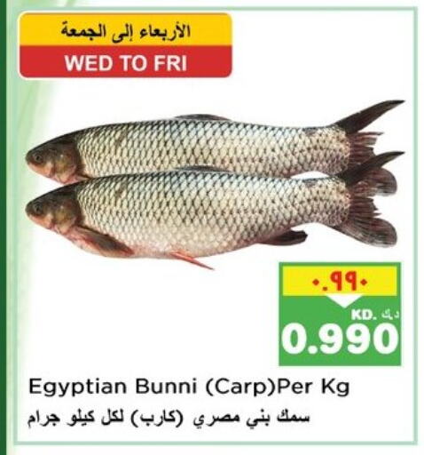 Fresh Fish in Nesto Hypermarkets, Kuwait Offers - Kuwait available at Nesto Hypermarkets in Kuwait - Ahmadi Governorate