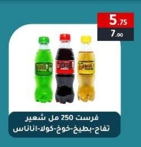available at وكالة المنصورة - الدقهلية‎ in Egypt - القاهرة