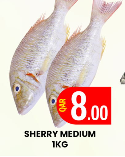 available at المجلس شوبينغ سنتر in قطر - الريان