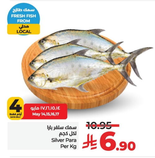 Fresh Fish in LULU Hypermarket, Saudi Arabia Offers - Saudi Arabia available at LULU Hypermarket in KSA, Saudi Arabia, Saudi - Al Khobar