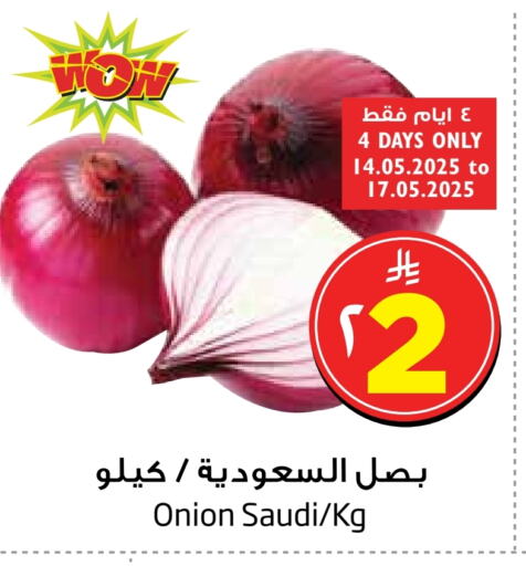 Fresh Vegetables in Layan Hyper, Saudi Arabia Offers - Saudi Arabia Onion from Saudi Arabia available at Layan Hyper in KSA, Saudi Arabia, Saudi - Al Khobar