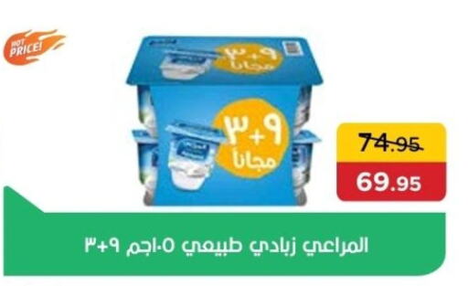 زبادي و لبنة in بيك مارت, Egypt Offers - Egypt المراعي زبادي available at بيك مارت in Egypt - القاهرة