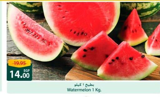 بطيخ available at سبينس in Egypt - القاهرة