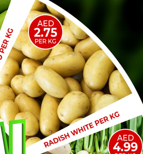 Radish available at Daylife Hypermarket LLC in UAE - Dubai
