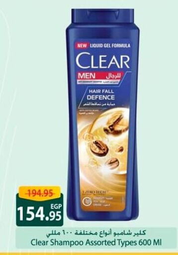 CLEAR Shampoo / Conditioner available at Spinneys  in Egypt - Cairo