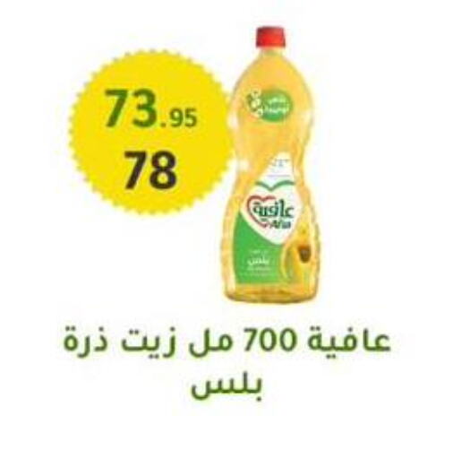 إندومي زيت الذرة available at وكالة المنصورة - الدقهلية‎ in Egypt - القاهرة