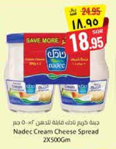 نادك جبنة كريمية available at ستي فلاور in مملكة العربية السعودية, السعودية, سعودية - سكاكا