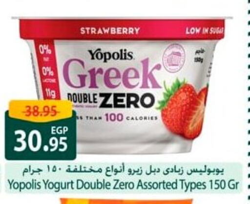 Yogurt & Labneh in Spinneys , Egypt Offers - Egypt Greek Yoghurt available at Spinneys in Egypt - Cairo