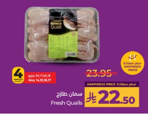 دجاج in لولو هايبرماركت, المملكة العربية السعودية Offers - المملكة العربية السعودية دجاج كامل طازج available at لولو هايبرماركت in مملكة العربية السعودية, السعودية, سعودية - خميس مشيط