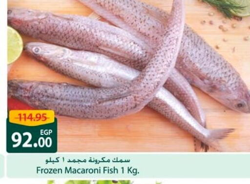 available at Spinneys  in Egypt - Cairo
