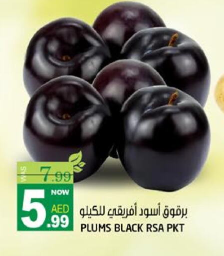 فاكهة طازجة in هاشم هايبرماركت, UAE Offers - الإمارات العربية المتحدة برقوق available at هاشم هايبرماركت in الإمارات العربية المتحدة , الامارات - الشارقة / عجمان