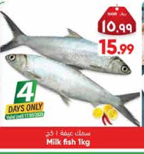 available at City Flower in KSA, Saudi Arabia, Saudi - Riyadh