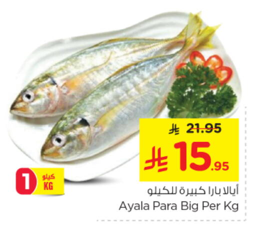 Fresh Fish in Nesto, Saudi Arabia Offers - Saudi Arabia available at Nesto in KSA, Saudi Arabia, Saudi - Al Hasa