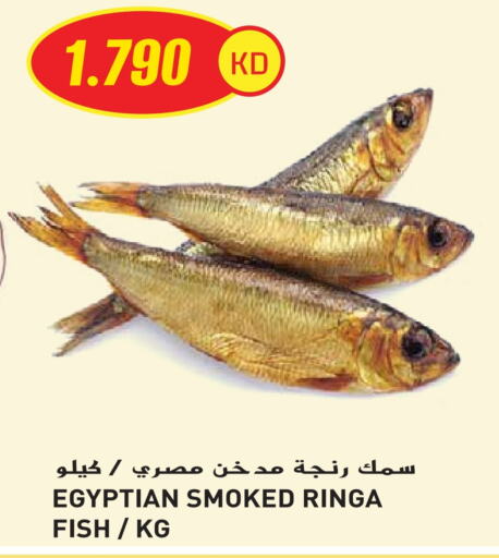 available at جراند هايبر in الكويت - محافظة الأحمدي