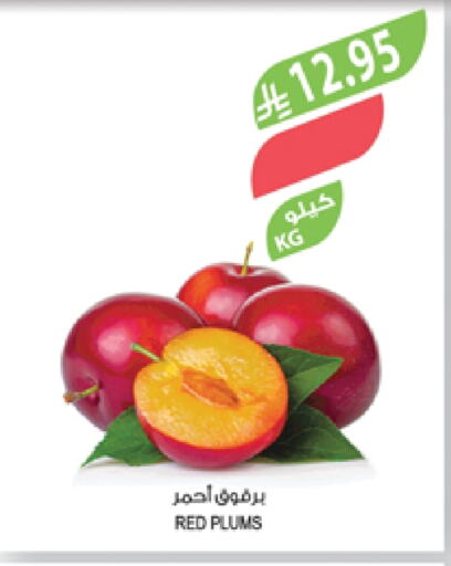 Fresh Fruits in Farm , Saudi Arabia Offers - Saudi Arabia Plums available at Farm in KSA, Saudi Arabia, Saudi - Najran