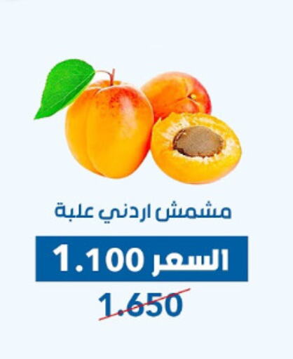Dried Fruits & Dates in Dahiyat Abdullah Al Salem and Mansourieh Cooperative Society, Kuwait Offers - Kuwait available at Dahiyat Abdullah Al Salem and Mansourieh Cooperative Society in Kuwait - Jahra Governorate