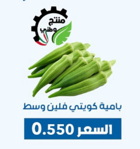 Fresh Vegetables in Dahiyat Abdullah Al Salem and Mansourieh Cooperative Society, Kuwait Offers - Kuwait available at Dahiyat Abdullah Al Salem and Mansourieh Cooperative Society in Kuwait - Jahra Governorate