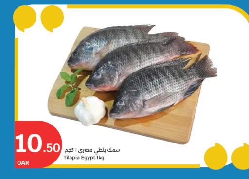 الأسماك الطازجة in سيتي هايبرماركت, قطر Offers - قطر available at سيتي هايبرماركت in قطر - الشحانية