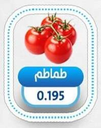 Tomato available at Salmiya Co-op Society in Kuwait - Kuwait City