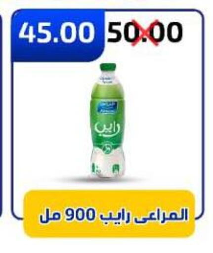 Milk & Laban in Wekalet Elmansoura - Dakahlia , Egypt Offers - Egypt ALMARAI available at Wekalet Elmansoura - Dakahlia in Egypt - Cairo