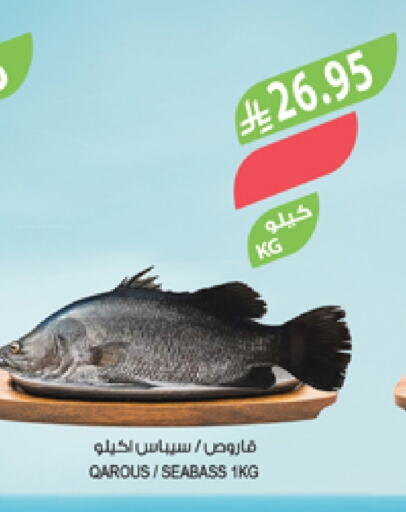 Fresh Fish in Farm , Saudi Arabia Offers - Saudi Arabia available at Farm in KSA, Saudi Arabia, Saudi - Sakaka