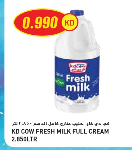 Milk & Laban in Grand Hyper, Kuwait Offers - Kuwait KD COW Fresh Milk available at Grand Hyper in Kuwait - Jahra Governorate